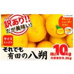 ふるさと納税 みかん・柑橘類 和歌山県 有田川町 八朔 訳あり それでも 有田の八朔 (はっさく) 箱込 10kg (内容量約 9.2kg) サイズミックス B品 和歌山県産 産…