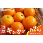 みかん 柑橘類 完熟 キンカン 約2kg