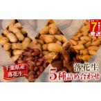 豆類 落花生 \最短7営業日以内発送 5種セット 650g