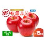 ふるさと納税 りんご 青森県 五所川原市  2026年7月上旬発送 訳あり りんご15kg有袋ふじ スマートフレッシュTM貯蔵またはCA貯蔵・クール便 7月上旬発送（１〜1…