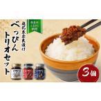 加工品等 漬物 奈良漬けセット 3本