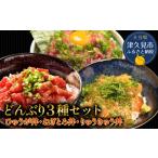 魚貝類 丼 漬け丼 <3種の丼セット>