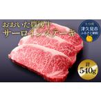 牛肉 サーロイン 和牛 サーロインステーキ