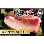 マグロ 本マグロ <豊後まぐろヨコヅーナ>