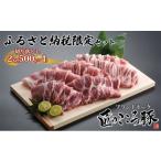 豚肉 バラ ブランドポーク 匠のこころ豚 切り落とし2kg 500…