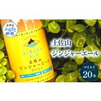 炭酸飲料 土佐山ジンジャーエールマイルド20本セット