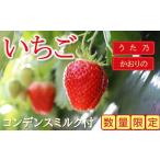 ふるさと納税 いちご 三重県 松阪市 いちご(うた乃・かおりの) (限定50) 2月上旬から順次発送 002243