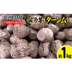 人参 大根 他根菜 特産 笑う芋 田芋 ターンム