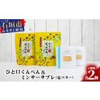 焼菓子 チョコレート クッキー ひと口くんぺん 12個