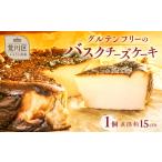 ケーキ カステラ チーズケーキ ちょっと大きめバスクチーズ…