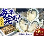 ふるさと納税 牡蠣 生牡蠣 長崎県 諫早市 小長井牡蠣（殻付き）3kg 牡蠣ナイフ付き ／ かき カキ 牡蠣 海鮮 ／ 諫早湾漁業協同組合 AHBJ005