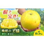 みかん 柑橘類 サワーポメロ 約 5kg