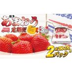 いちご AT-005_ 先行受付 博多あまおう2パック