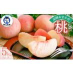 ふるさと納税 もも 山形県 鶴岡市 令和7年産先行予約 桃 品種おまかせ 5kg(15玉〜18玉) 山形県鶴岡市産 株式会社 元青果