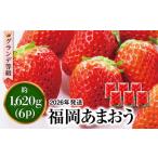 ふるさと納税 いちご 福岡県 糸島市 先行予約 あまおう いちご 1,620g ( 約 270g × 6パック ) 2026年3月初旬より順次発送 糸島市 / 株式会社HSP-テクノ AZL…