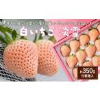 ふるさと納税 いちご 佐賀県 -  先行予約受付中・令和8年1月中旬以降順次発送 白いちご 淡雪（化粧箱入り）350g［A0048-0002］