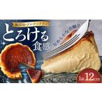 ケーキ カステラ チーズケーキ 隠れ家シェフ手作りスイーツ
