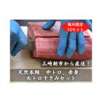 マグロ 三崎朝市直送 天然アイルランド産本鮪セット