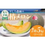 ふるさと納税 メロン メロン青肉 長崎県 五島市 先行予約 2026年6月順次発送 やしろ農園の椿メロン 五島市 / いきいきファーム PCY008 赤肉 緑 メロン フル…
