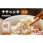 玄米 米特別栽培米 ササニシキ 5kg