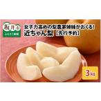 ふるさと納税 梨 福井県 坂井市  先行予約 女子力高めの梨農家姉妹がおくる 近ちゃん梨 3kg（3L〜5L） 6〜8玉入り (幸水梨or豊水梨) 2026年8月中旬〜9月下旬発…