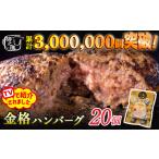 ふるさと納税 加工品等 岩手県 一関市 ハンバーグ 格之進 金格ハンバーグ 20個 冷凍 小分け 個包装 高級 国産 お惣菜 おかず お弁当 無添加 国産牛 合挽き 黒…