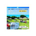 体験チケット 彩湖 道満グリーンパークBBQガーデン器材レン…