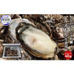 ふるさと納税 牡蠣 生牡蠣 北海道 厚岸町 牡蠣 厚岸のブランド牡蠣 マルえもん 3Lサイズ 40個 生食用 No.5863-0837