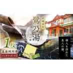 温泉 サウナ スパ利用券 1300年の歴史ある温泉