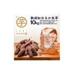 野菜類 サツマイモ 干し芋屋のさつまいも