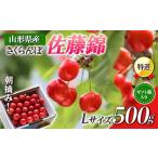 ふるさと納税 果物類 さくらんぼ 山形県 -  先行受付 令和8年度発送 山形県産 朝摘みさくらんぼ特選佐藤錦500g ギフト箱入り FSY-0347