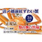 ふるさと納税 カニ ずわいガニ 福井県 越前町 活〆越前 紅ずわいがに × 1杯 旨味満載 浜茹で 紅ズワイガニ 紅ずわい蟹 かに カニ 蟹 姿 ボイル 冷蔵 福井県 3…