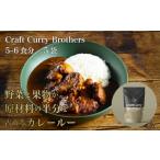 加工品等 レトルト クラフトカレーブラザーズ×5袋セット