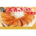 ふるさと納税 肉 静岡県 浜松市 浜松餃子 大須のぎょうざ［ 浜松ぎょうざ 贅沢バラエティーセット 4味 レギュラー、こいくち、スタミナ、こくうま ］× 5袋（1…