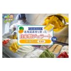 ふるさと納税 アイス・ヨーグルト ジェラート 北海道 石狩市  LicoLicoの北海道素材を使った自家製ジェラート・かぼちゃ(業務用／1,000ml) ／ リコリコ りこり…