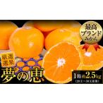 ふるさと納税 みかん・柑橘類 熊本県 荒尾市 夢の恵 みかん 約2.5kg(20玉〜30玉前後) 熊本県産 (荒尾市産含む) 糖度12度以上 熊本みかん 厳選みかん ブラン…