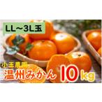 ふるさと納税 果物類 みかん 大分県 国東市 小玉農園／国東みかん約10kg（LL〜3L）_2151R