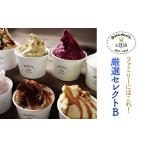 ふるさと納税 アイス・ヨーグルト ジェラート 神奈川県 相模原市 チッタジェラート”厳選セレクトB” 離島への配送不可 着日指定不可