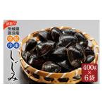 ふるさと納税 魚貝類 しじみ 茨城県 大洗町 訳あり 涸沼産 中粒 冷凍 シジミ 2.4kg （400ｇ×6袋） しじみ 蜆 大和しじみ ヤマトシジミ 大玉 砂抜き済 冷凍 味…