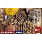 野菜類 きのこ きのこ詰め合わせ 共通返礼品