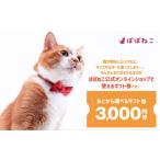 イベントやチケット等 ぽぽねこ 券 封筒タイプ