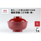 陶磁器 漆器 ガラス レンジが使える漆塗りのお椀
