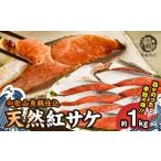 魚貝類 鮭 リピーター続出 4.59 紅鮭 切身 約1kg