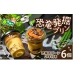 ふるさと納税 菓子 プリン 福井県 永平寺町  12／24入金分まで年内発送 年内配送 恐竜発掘プリン6個セット スプーン2本付き(特製ギフトボックス・図鑑付き) 6…