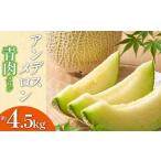 ふるさと納税 山形県 鶴岡市 【令和6年産先行予約】御殿まりメロン（青肉） 約4.5kg 山形県庄内産 丸果庄内青果