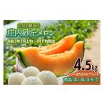 ふるさと納税 山形県 鶴岡市 【令和6年産先行予約】 紅花メロン（赤肉）約4.5kg 山形県庄内産 丸果庄内青果