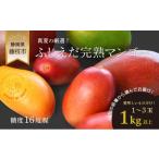 ショッピングふるさと納税 マンゴー ふるさと納税 マンゴー 静岡県 藤枝市  先行予約 : 2026年7月頃より順次発送 完熟マンゴー 1kg 糖度約16度程 厳選 フルーツ 果物 国産 数量限定 マンゴー トロ…