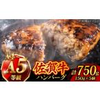A4 A5 佐賀牛100% ハンバーグ 計750g
