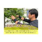 イベントやチケット等 要 お申込前ご連絡