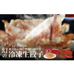 ふるさと納税 惣菜・レトルト 冷凍 滋賀県 守山市 堀久餃子本舗冷凍生餃子5箱パック 冷凍 生餃子 焼くだけ 幻の餃子 藏尾ポーク バームクーヘン豚 餃子 堀久餃…